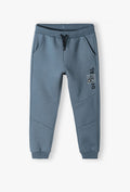 C1